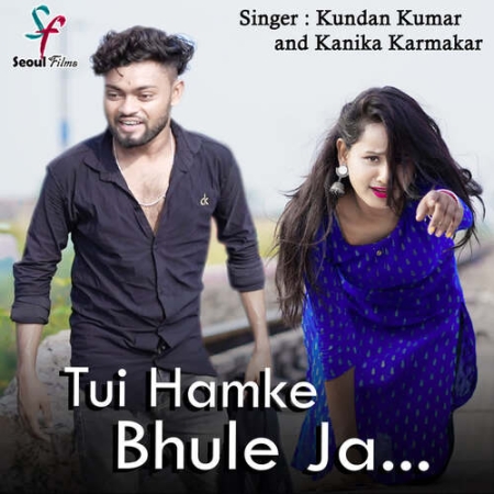 Tui Hamke Bhule Ja Re Pagla Jonomer Moton