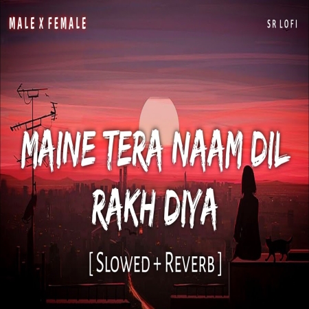 Maine Tera Naam Dil Rakh Diya Lofi