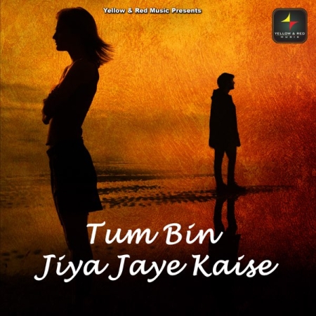 Tum Bin Jiya Jaye Kaise