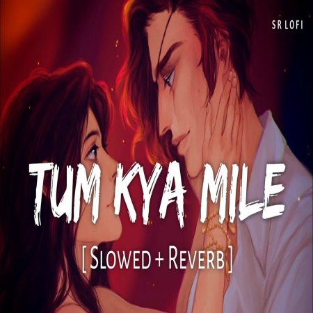 Tum Kya Mile LoFi Mix