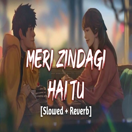 Meri Zindagi Hai Tu Lofi Mix