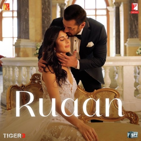 Ruaan Tiger 3